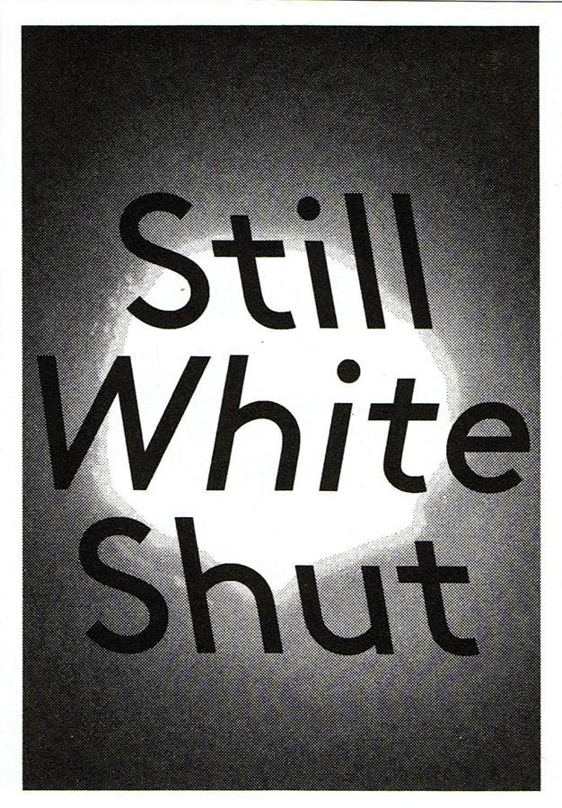 Still White Shut Grafik